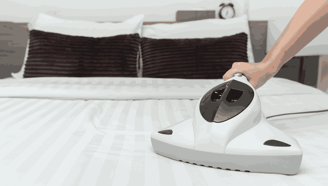 Professional Mattress Cleaning Tremont